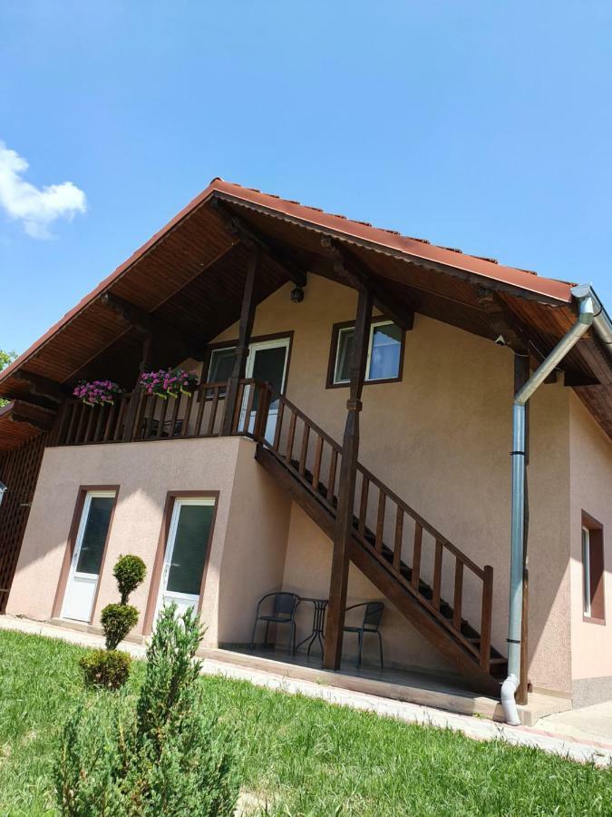 Cabana Sarmis Costesti Extérieur photo